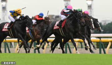 【富士ステークス】今年も”堅い”レースとなるか？ 過去10年の傾向から見える人気と配当