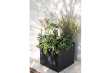 数年植えっぱなしでOK！「宿根草・常緑樹」のロングライフ寄せ植え【ガーデニング】