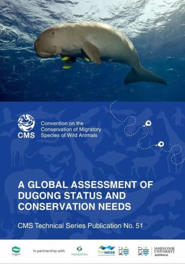 沖縄のジュゴン「回復困難」　ボン条約事務局が報告書