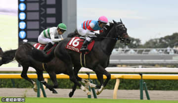 【富士ステークス】好走率の高い上位人気の牝馬の活躍が目立つ！ 過去10年の傾向から考える攻略ポイント！