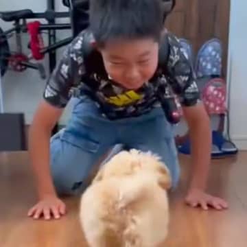 小学校から帰ってきた男の子が『8時間ぶりに犬と再会した』結果…最高すぎる『感動のおかえりなさい』が54万再生「大事なんだね」「癒やし」