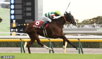 【富士ステークス】大穴より上位人気馬の組み合わせで妙味を狙う！ 過去10年の傾向から考える3連単を的中させる戦術とは