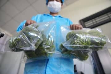 雲南省の海菜花が「水質指標」から「経済作物」へ―中国