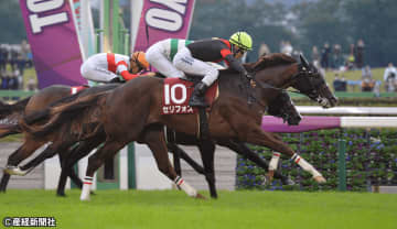 【富士ステークス】穴馬が潜む人気の盲点になる前走レースとは!? 過去10年の傾向から見える波乱の主役となり得る馬とは