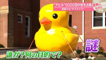 “アヒル”5000羽が街を占拠　型破りな“サプライズ”　アメリカ【 #世界のミダシ 】