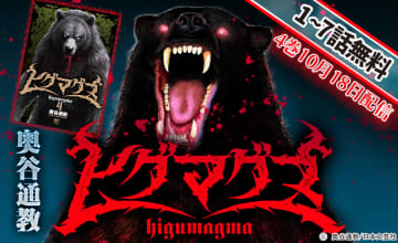 10/18発売コミックス4タイトルでキャンペーン実施！ 大河ファンタジーラブ完結『シュルスの魔女』、凄絶ヒグマ暴虐物語『ヒグマグマ』、SM潜入サスペンス『ボンデージ』！ ドラッグ×陰謀論『キノコ・ブラザーズ 』！