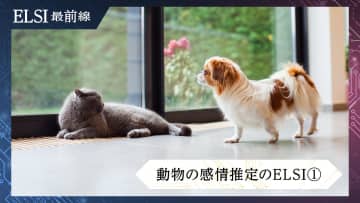 続・猫語翻訳？　猫と私のコミュニケーション