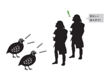 鎌倉時代の武士に愛された「ウズラ」 ヒナを守る戦略とは！？【眠れなくなるほど面白い 図解 鳥の話】