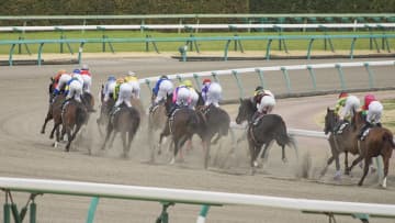 手軽に馬主感覚を持てる「一口馬主」