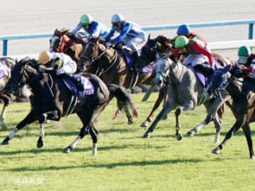 【秋華賞】1着固定で軸にできる馬とは！？3連単を的中させる軸馬の狙い方