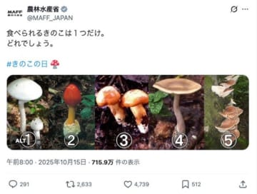 【食べられるきのこは1つだけ】農水省のクイズが超難問。あなたは見分けられるか？