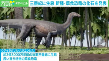 2億3000万年前の新種・草食恐竜の化石を発見 極めて良好な保存状態 アルゼンチン