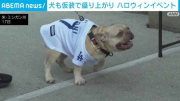 犬も仮装で盛り上がり “毎年恒例”ハロウィンイベント開催 ミシガン州