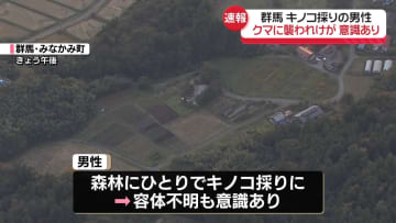 キノコ採りの男性、クマに襲われケガ　群馬・みなかみ町