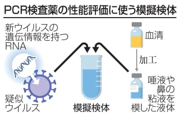 新感染症PCR検査を素早く確立　国立衛研が模擬検体を開発