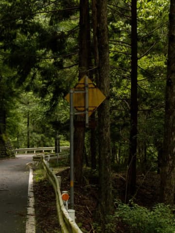 森の中に現れた“道路標識”がどこかおかしい……。ゾッとするデザインに「まさか人間を…」