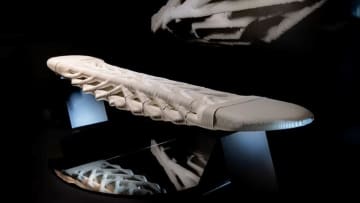 コンクリートの橋が「二酸化炭素を吸収」、骨をヒントに３Ｄプリンターで製作　米研究