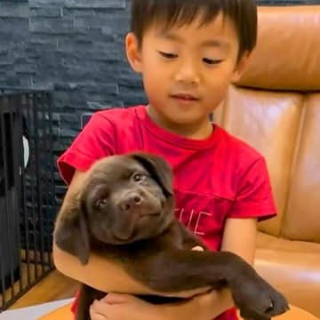 子犬を抱っこできないほど小さかった男の子→一緒に育ち、11歳の誕生日を迎えた結果…尊すぎる『成長記録』に絶賛「最高の相棒」「素敵な兄弟」