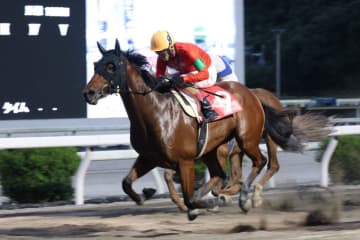 【高知・月見台特別】ユラリユラメイテが逃げ切って5勝目
