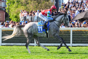【豪コーフィールドカップ】日本馬ゴールデンスナップは14着…豪女性騎手J.メルハム騎乗、ハーフユアーズがV