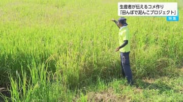 コメ価格、過去最高水準に迫る「このままではコメ農家がなくなる」「コメ作りの大変さ知って」生産者が体験会を開催