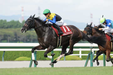 【秋華賞】オークス馬・カムニャックが二冠制覇へ 1800m以上は4戦全勝