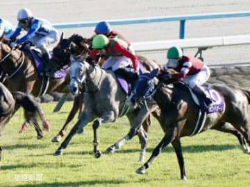 【秋華賞】上位人気から選びたい相手馬候補とは！？3連単を的中させる相手馬の狙い方