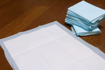 ペット用シーツの活用方法6選　災害時や液体のふき取りなど、意外な使い道も