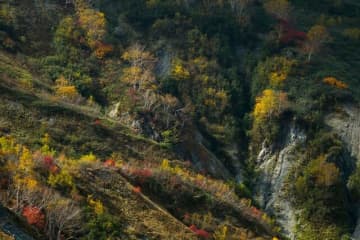 紅葉の当たり年！　晴れ間を狙って山歩き＆しっとりと過ごす雨の森【白馬村】