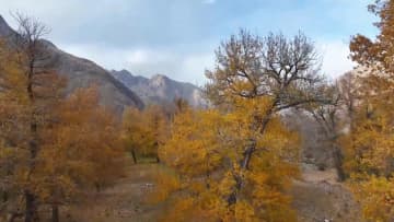 中国新疆ウイグル自治区のキルクト郷に広がる秋の風景