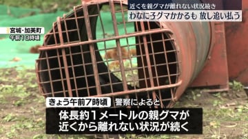 わなに子グマかかるも放して追い払う　近くを親グマが離れない状況続き…宮城・加美町