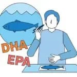 東邦大学　DHAが精管収縮を抑える仕組みを解明　男性不妊の改善効果に期待