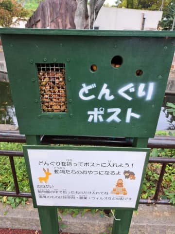 「こんなに溜まりました！」動物園が設置した“どんぐりポスト”が話題に⇒「これは子どもが喜ぶ」「園内限定なら安心」【日立市かみね動物園】