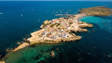 人より猫が多い島、観光の波に飲まれなかった地中海のタバルカ島　スペイン