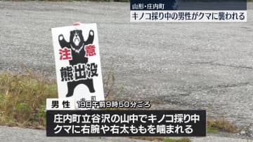 キノコ採り中の男性、クマに襲われる　山形・庄内町
