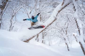 【福島県】ネコマ マウンテンが生まれ変わる！25-26シーズンは「ツリーラン」＆「アプレスキー」で過去最高の充実度へ