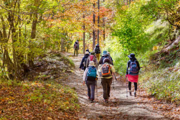 紅葉狩りに行くときの注意点4選　急な温度変化を視野に入れた対策を