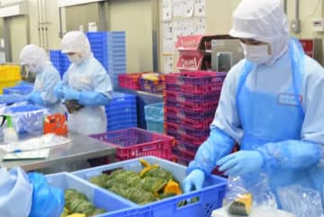 外国人労働者を“現代奴隷”にしないために企業ができることは。「技能実習」→「育成就労制度」は「看板の掛け替えにすぎない」との指摘も