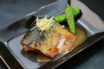 ゴマサバより3倍も脂がのった秋サバ「マサバ」　近年注目されるEPA、DHAを逃さない食べ方を専門家が解説
