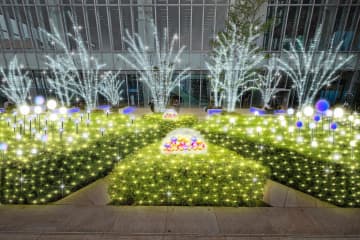 あべのハルカス「天空のイルミネーション 2025」、“光の花が咲く”屋上庭園＆約4mタワー
