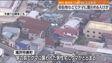 6人が襲われケガ　秋田でクマ被害相次ぐ