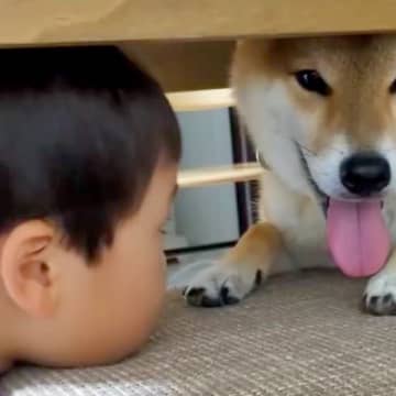 犬が怖くて、指先でしか触れなかった男の子→距離が縮まってきたと思ったら…驚くほどに変化した『現在の光景』に反響「尊い関係」「涙でた」