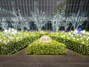 【幻想】あべのハルカスで「天空のファンタジア」が開幕！16階屋外庭園のイルミがデジタルアートで一新！10月31日スタート！