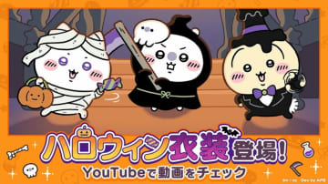 『ちいぽけ』でハロウィンイベント開催！うさぎの黒タキシード衣装＆ホームアイテム“キャンディマシーン”登場