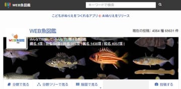 世界初の投稿型図鑑「WEB魚図鑑」を開発した山出氏「釣りは生活の一部でした」