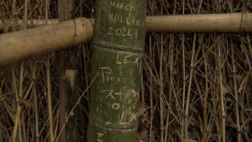 京都・嵐山の「竹林の小径」に落書き多数…ハートマークや名前が彫られる　300本以上の竹に傷か　専門家は生育への影響に懸念