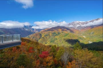 長野県白馬エリアで「三段紅葉」を堪能！ツーリングで訪れたい絶景と限定グルメ