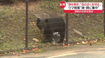 クマ被害の多くが「頭・顔」に集中　全国各地で被害相次ぐ　秋田・湯沢市の住宅に居座りも