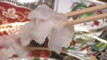 フグが“お手頃価格”背景に「漁獲量の安定」「免許の規制緩和」　保健所への届け出義務が不要に