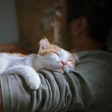 猫が飼い主の『気を引きたい』ときにみせる行動5つ　上手に応えるコツから避けるべきNG行為まで